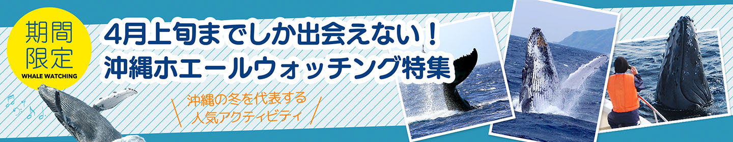 Whalewatching pc bnr 1440x280