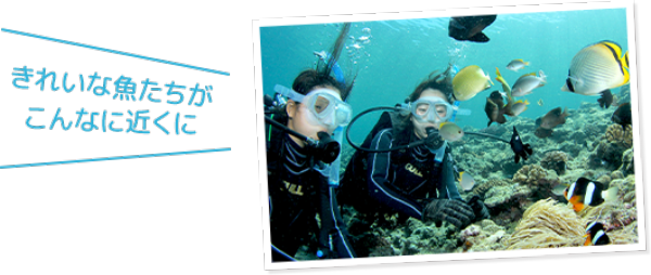 最安値保証 沖縄 恩納村の 青の洞窟 でマリンアクティビティを堪能しよう そとあそび