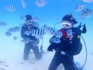 沖縄本島（本部） 体験ダイビング
