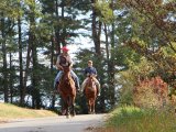 明野 ホーストレッキング 乗馬 サニーフィールド そとあそび