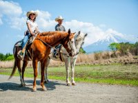 ツアーコースは自然豊かな林の中。馬と共にのんびりと、雄大な富士山を望むポイントまでトレッキングを楽しみます。