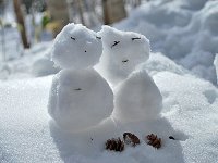 雪遊びも満喫！かわいい雪だるまを作っちゃおう！