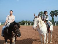 馬に触れるのも、乗るのも初めてという方でも安心。まずは馬場で馬の乗り方・動かし方を練習します。