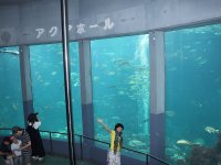 人気の下田海中水族館も、ツアー前後に楽しめる！