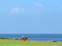 沖縄の自然をたっぷり満喫できるコースをご用意！