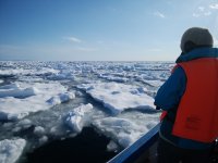 漁師歴30年以上、海を知り尽くした現地のベテラン船頭とガイドの案内で、流氷が作り出す絶景をお楽しみください！