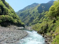 自然豊かな吉野川でツアーを開催！
