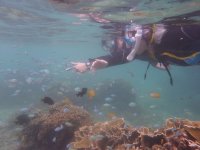 たくさんの海の生き物に出会えるビーチエントリー