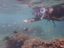 沖縄本島（糸満） シュノーケリング