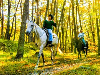 甲斐駒 ホーストレッキング（乗馬）