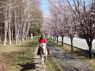 明野 ホーストレッキング 乗馬 サニーフィールド そとあそび