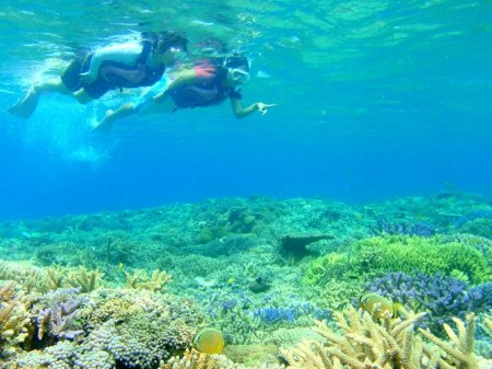 口コミ 感想 評判 レポート 西表島 シュノーケリング クロスリバー そとあそび