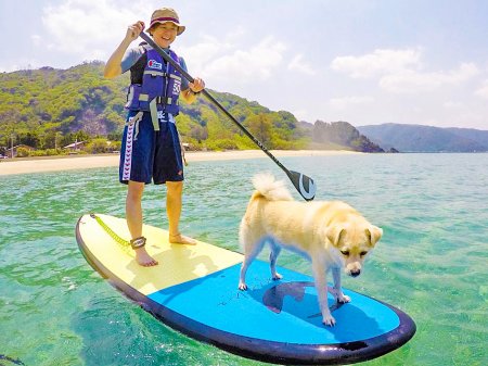 ワンちゃんと一緒 Sup海上散歩ツアー 鹿児島県 奄美大島 そとあそび