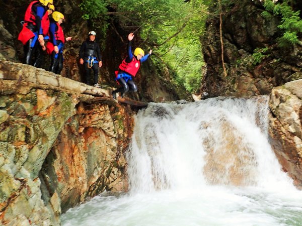 様々な飛び込み！