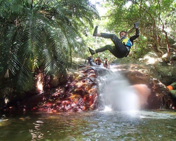 熱帯植物に囲まれた滝で水遊びを楽しもう！