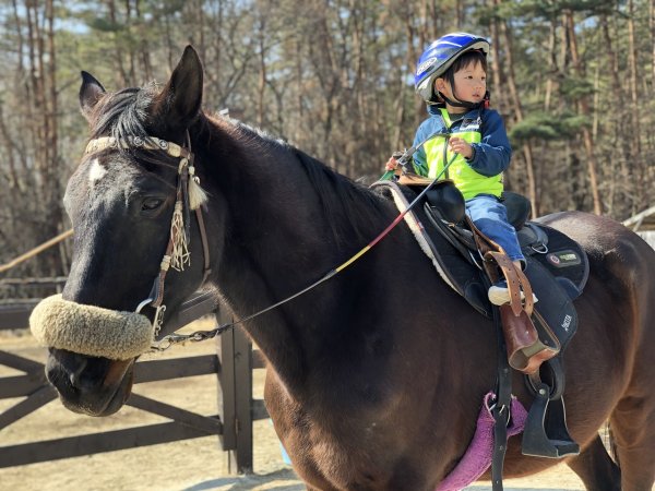 親子専門予約サイト 山梨県 清里 小淵沢 八ヶ岳の乗馬 ホーストレッキング キッズ体験乗馬 コース そとあそびキッズ