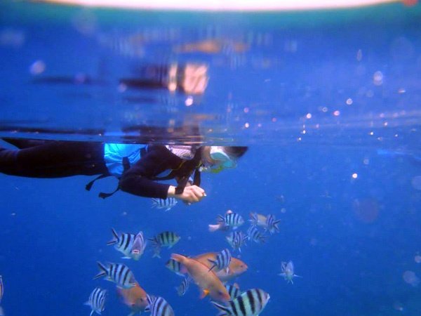 色とりどりの熱帯魚たちと戯れる餌付けタイムもあり、沖縄の海を満喫できる冒険ツアーです。
