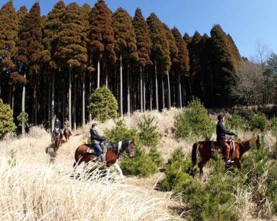 四季折々の変化や野生動物との出会いなど、最高のロケーションで乗馬を楽しむことができます。