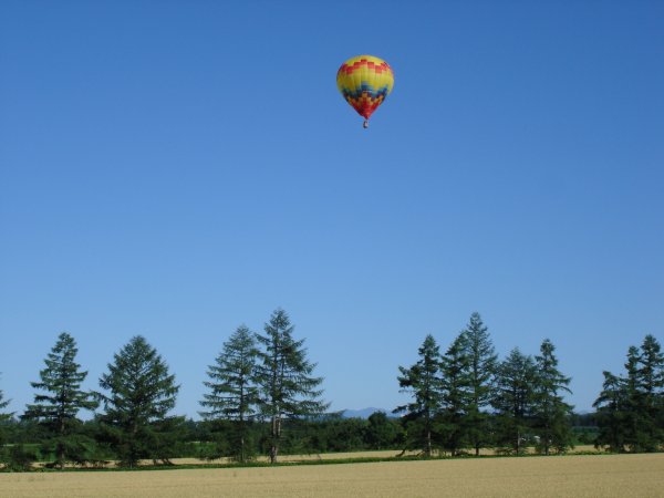 熱気球フリーフライト体験