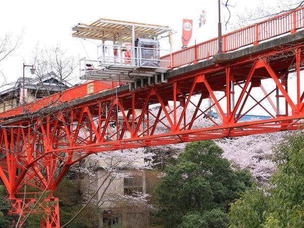 奈良 開運バンジージャンプ バンジージャパン そとあそび