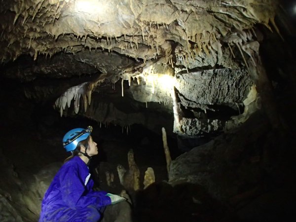 大小様々な形の鍾乳石の神秘的な空間！洞窟の不思議をひも解けばさらに洞窟探検が楽しくなるでしょう！