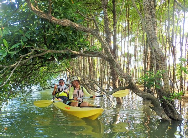 億首川のマングローブの林の中を、自然観察をしながらカヤックでのんびりと進みます。