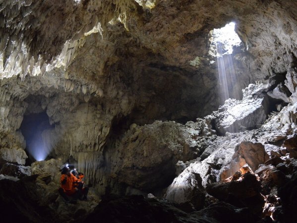 琉球石灰岩の巨大洞窟（レベル2コース）