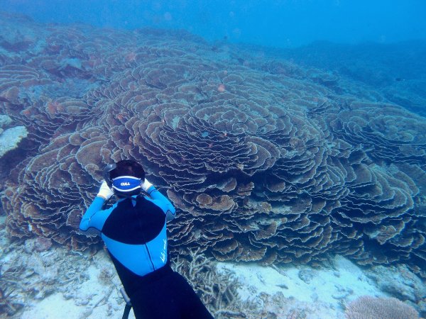 ボート うみがめと大サンゴ礁 シュノーケル半日 沖縄県 宮古島 そとあそび