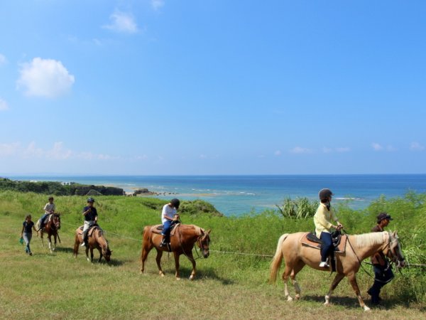 沖縄らしい美しい自然が広がるロケーションでホーストレッキングを楽しもう！