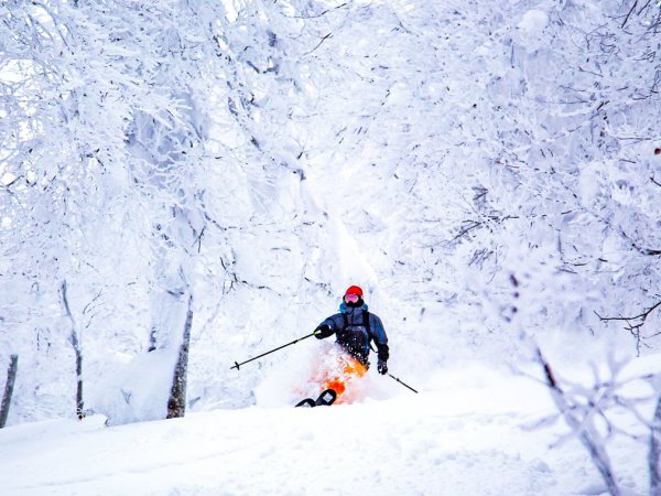 秋田駒ケ岳＆森吉山 スキー・スノーボード