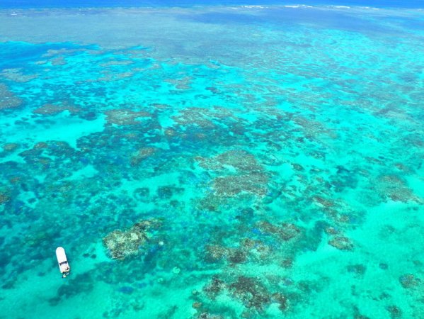美しい海とサンゴ礁の絨毯の上を空中さんぽ！
