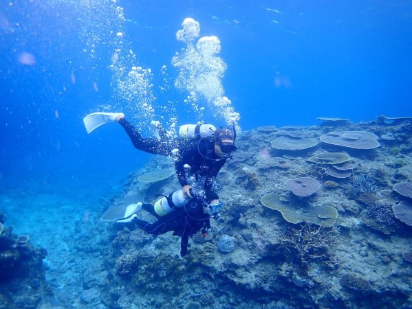 沖縄本島（伊江島）体験ダイビング