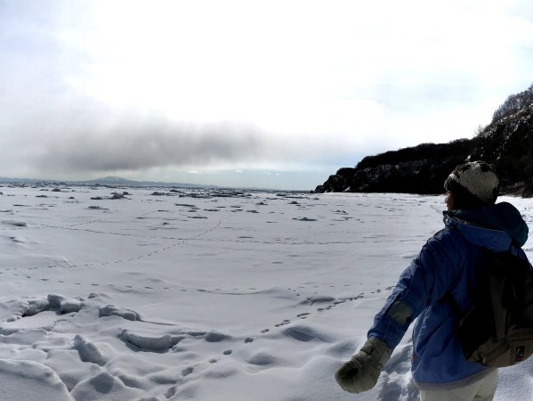 流氷が押し寄せるオホーツク海