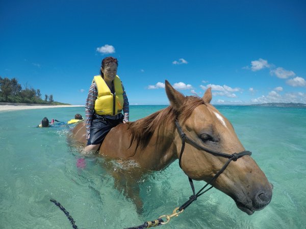 馬と泳ごう 海うま遊び うみうまあそび コース 沖縄県 水納島 瀬底島 伊江島 そとあそび