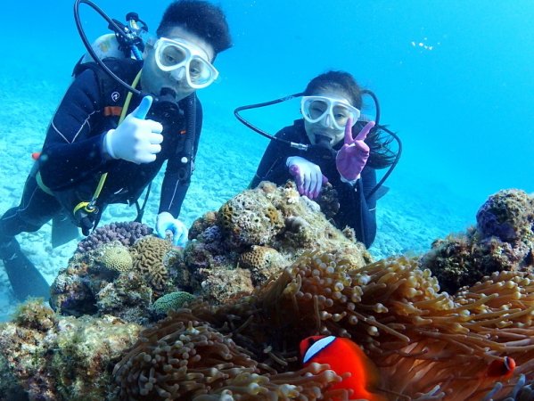 お魚とサンゴが一杯！人気のクマノミにも会える「ゴリラチョップ」で沖縄の海を体験ダイビングで満喫！