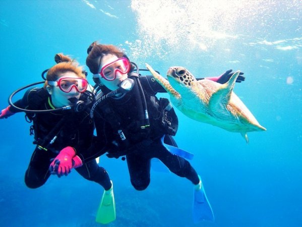 沖縄本島＆慶良間諸島 体験ダイビング