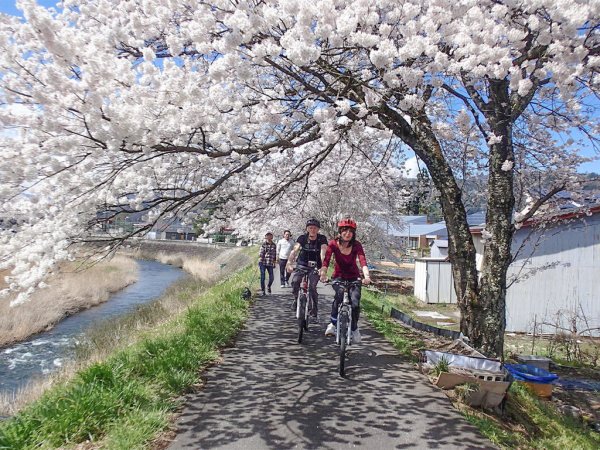 飛騨古川 サイクリング