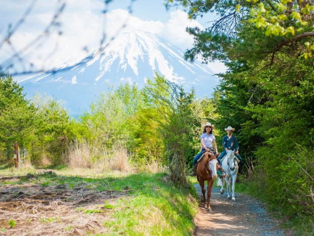 富士山麓 ホーストレッキング(乗馬)