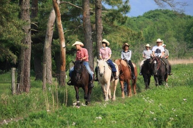 関東の乗馬 ホーストレッキング体験の比較 簡単予約 そとあそび