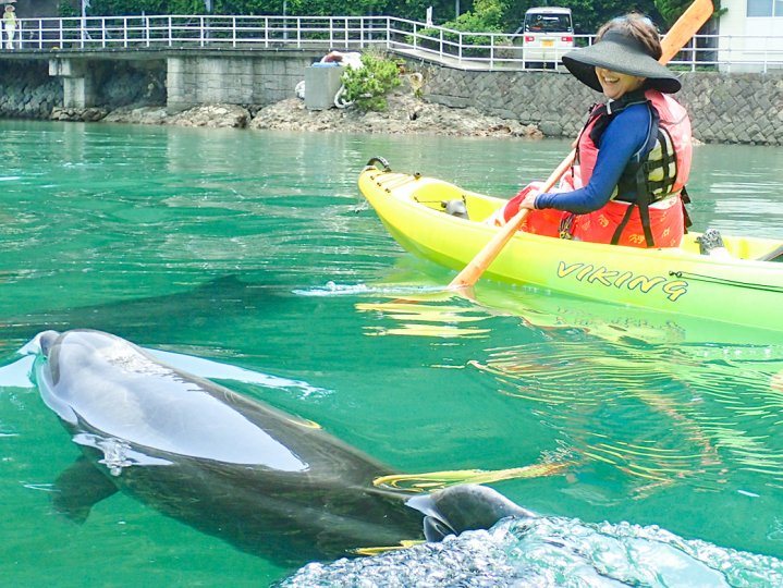 静岡県のカヌー・カヤックの体験ツアー｜そとあそび