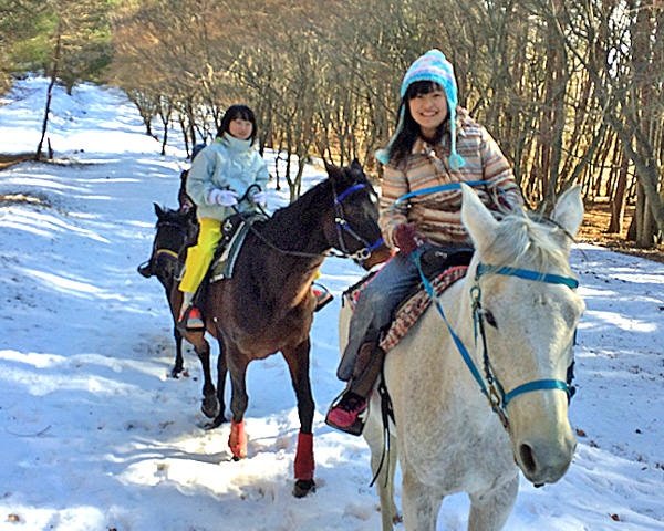 関東の乗馬 ホーストレッキング体験の比較 簡単予約 そとあそび