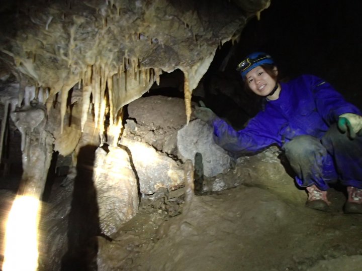 鍾乳石 鍾乳石の販売なら増樹です。