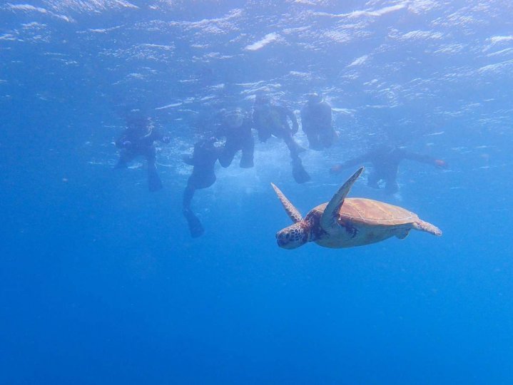 鹿児島県のシュノーケリング スノーケリング の体験ツアー そとあそび