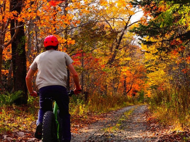 北海道・東北のマウンテンバイク・サイクリング(MTB・ダウンヒル)の