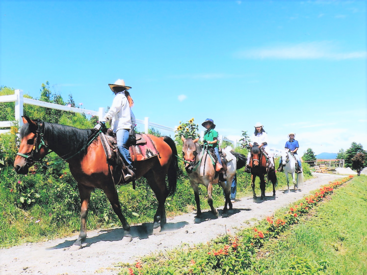 北海道の乗馬 ホーストレッキング体験の簡単予約 そとあそび