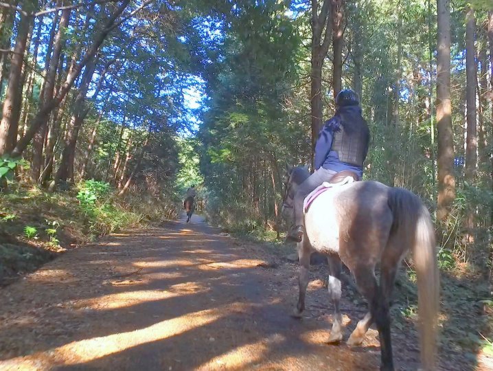 関東の乗馬 ホーストレッキング体験の比較 簡単予約 そとあそび