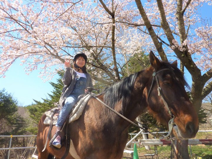 山梨県の乗馬 ホーストレッキング 外乗 の体験ツアー そとあそび