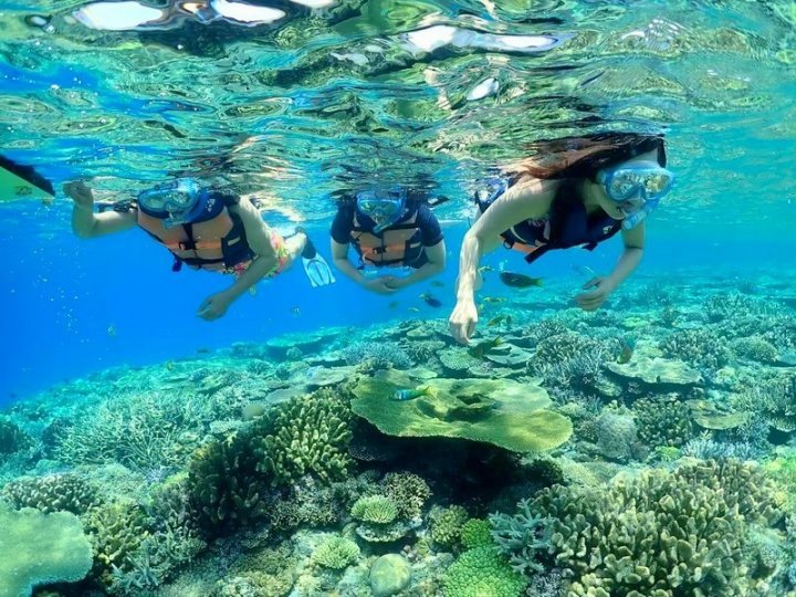 水納島 瀬底島 伊江島のシュノーケリング体験の予約 そとあそび