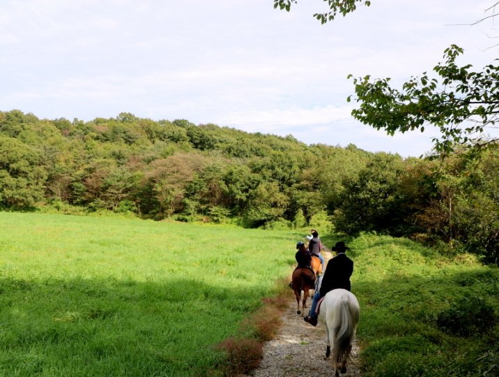 関東の乗馬 ホーストレッキング体験の比較 簡単予約 そとあそび