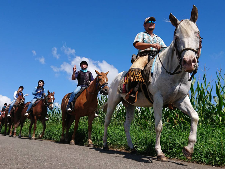 関東の乗馬 ホーストレッキング体験の比較 簡単予約 そとあそび